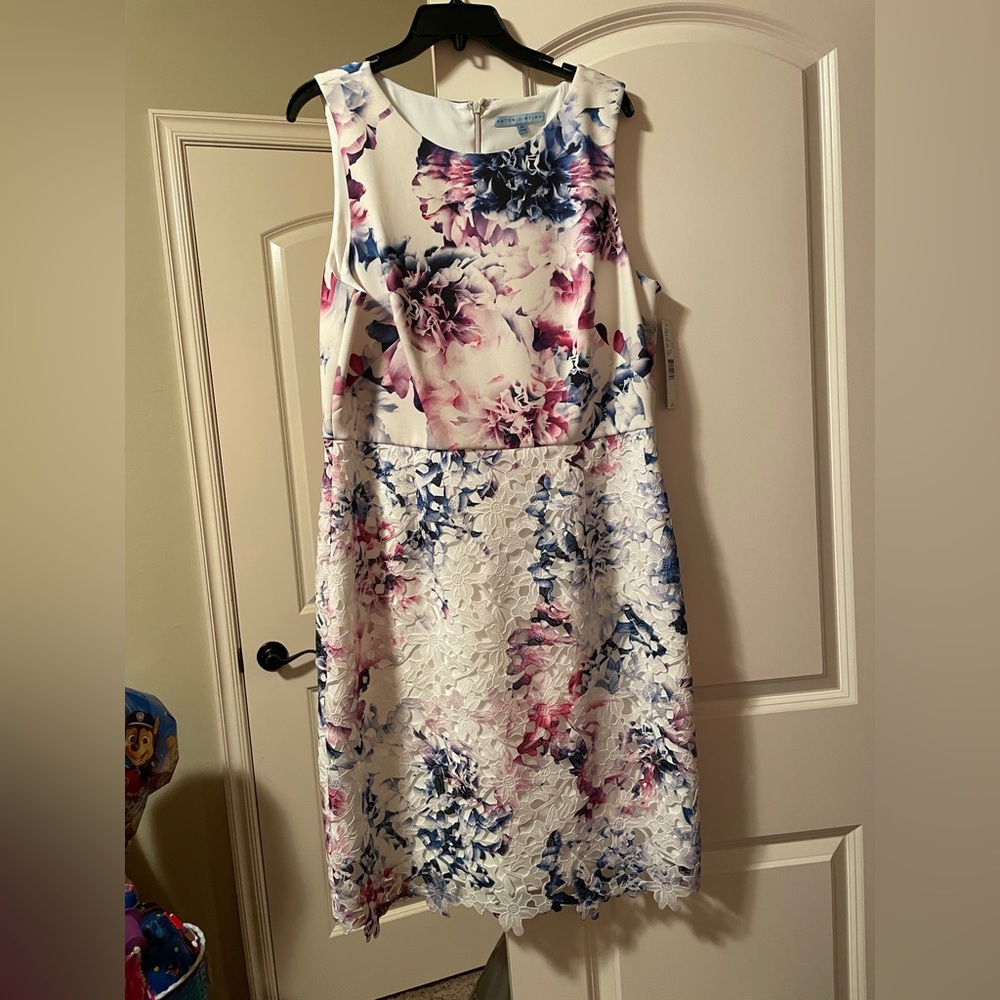Gorgeous Antonio Melani dress, size 14. Costs $169.